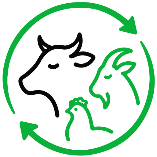 Logo Icon